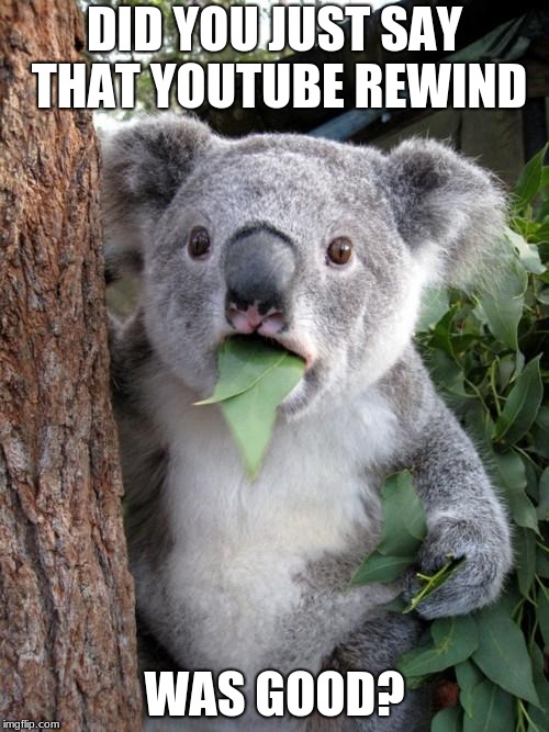 I am not you friend anymore. | DID YOU JUST SAY THAT YOUTUBE REWIND; WAS GOOD? | image tagged in memes,surprised koala | made w/ Imgflip meme maker