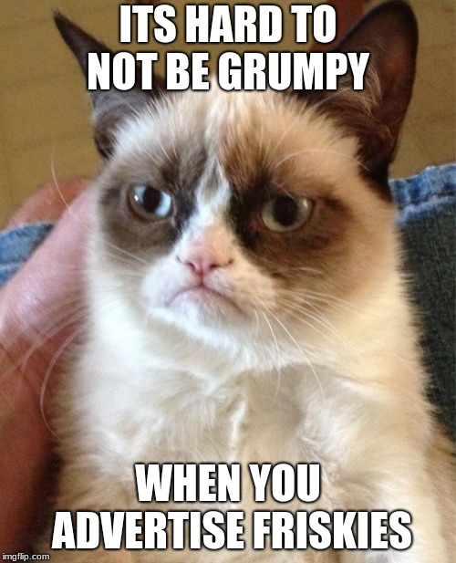 Grumpy Cat | ITS HARD TO NOT BE GRUMPY; WHEN YOU ADVERTISE FRISKIES | image tagged in memes,grumpy cat | made w/ Imgflip meme maker