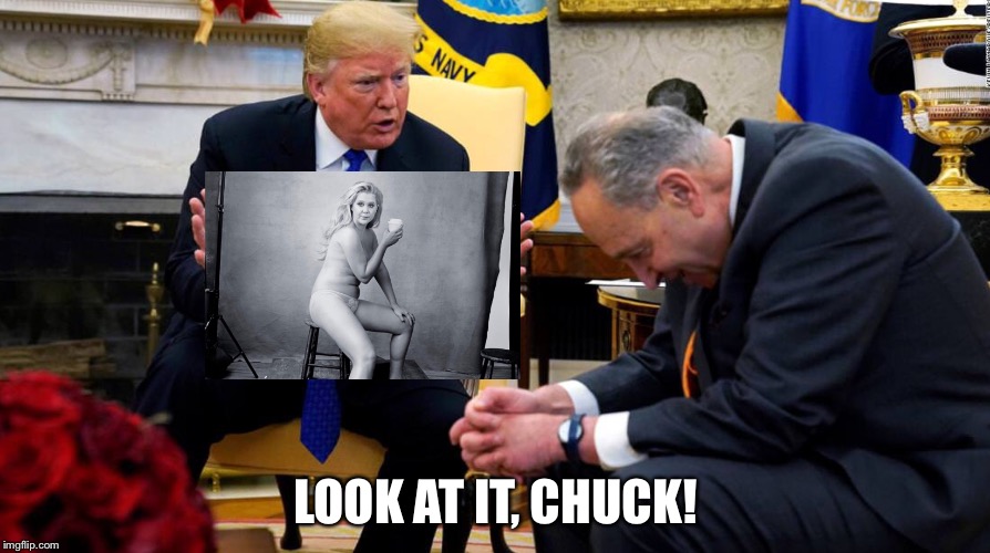 Cryin Chuck, cryin... | LOOK AT IT, CHUCK! | image tagged in trump,chuck schumer,amy schumer,white house | made w/ Imgflip meme maker