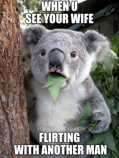 Surprised Koala | WHEN U SEE YOUR WIFE; FLIRTING WITH ANOTHER MAN | image tagged in memes,surprised koala | made w/ Imgflip meme maker