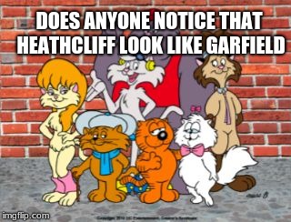 heathcliff | DOES ANYONE NOTICE THAT HEATHCLIFF LOOK LIKE GARFIELD | image tagged in heathcliff | made w/ Imgflip meme maker