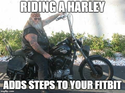 biker | RIDING A HARLEY; ADDS STEPS TO YOUR FITBIT | image tagged in biker | made w/ Imgflip meme maker