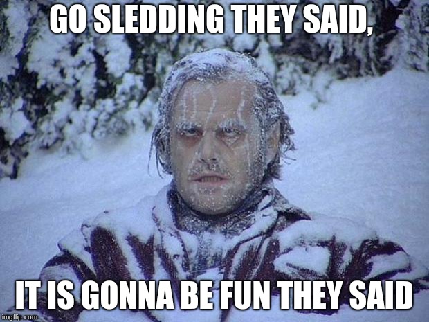 Jack Nicholson The Shining Snow Meme | GO SLEDDING THEY SAID, IT IS GONNA BE FUN THEY SAID | image tagged in memes,jack nicholson the shining snow | made w/ Imgflip meme maker