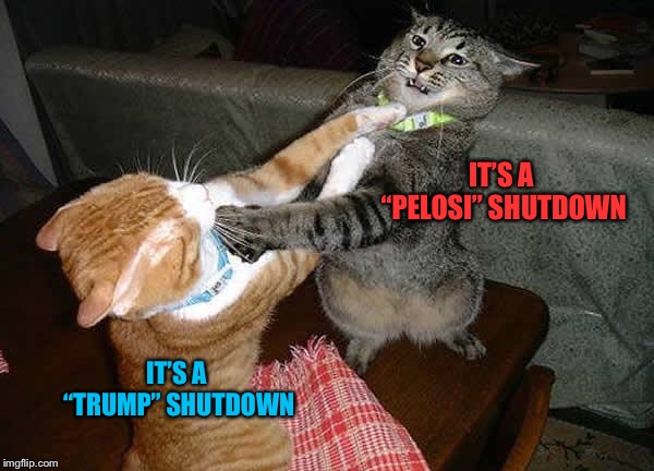 Who’s Shutdown Is It? | IT’S A “PELOSI” SHUTDOWN; IT’S A “TRUMP” SHUTDOWN | image tagged in two cats fighting for real,memes | made w/ Imgflip meme maker