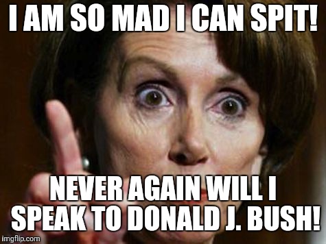 Nancy Pelosi No Spending Problem | I AM SO MAD I CAN SPIT! NEVER AGAIN WILL I SPEAK TO DONALD J. BUSH! | image tagged in nancy pelosi no spending problem | made w/ Imgflip meme maker