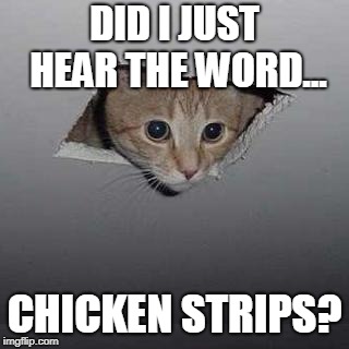 Ceiling Cat Meme | DID I JUST HEAR THE WORD... CHICKEN STRIPS? | image tagged in memes,ceiling cat | made w/ Imgflip meme maker