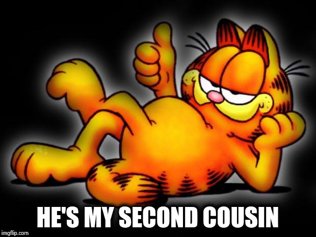 garfield thumbs up | HE'S MY SECOND COUSIN | image tagged in garfield thumbs up | made w/ Imgflip meme maker