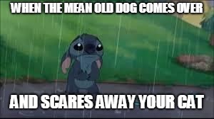 Come back.. | WHEN THE MEAN OLD DOG COMES OVER; AND SCARES AWAY YOUR CAT | image tagged in come back | made w/ Imgflip meme maker