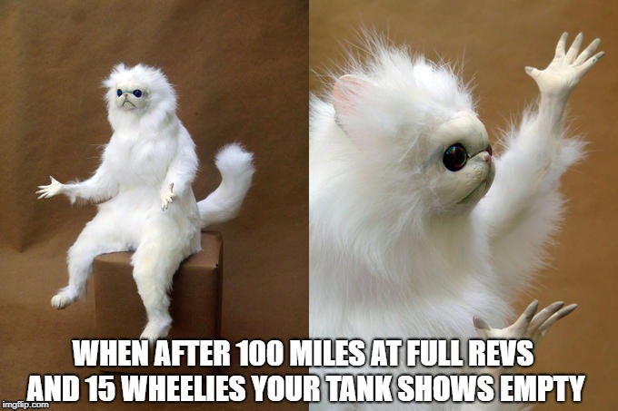 Persian Cat Room Guardian Meme | WHEN AFTER 100 MILES AT FULL REVS AND 15 WHEELIES YOUR TANK SHOWS EMPTY | image tagged in memes,persian cat room guardian | made w/ Imgflip meme maker