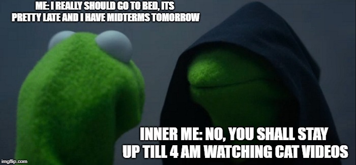 Evil Kermit | ME: I REALLY SHOULD GO TO BED, ITS PRETTY LATE AND I HAVE MIDTERMS TOMORROW; INNER ME: NO, YOU SHALL STAY UP TILL 4 AM WATCHING CAT VIDEOS | image tagged in memes,evil kermit | made w/ Imgflip meme maker