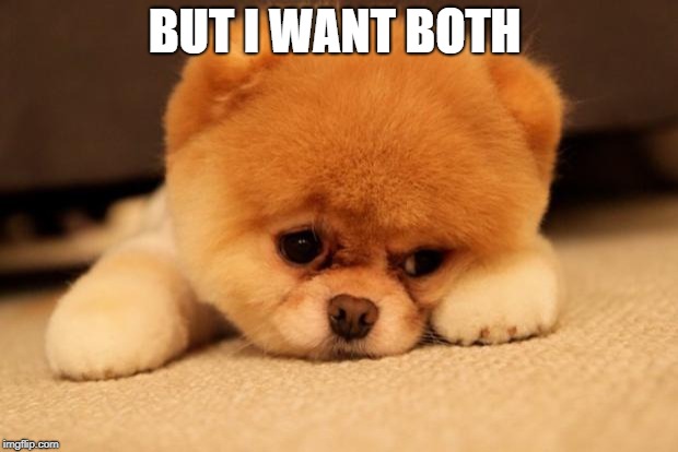 Sad puppy | BUT I WANT BOTH | image tagged in sad puppy | made w/ Imgflip meme maker