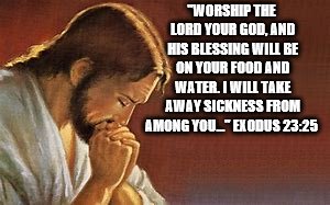 jesus prayer | "WORSHIP THE LORD YOUR GOD, AND HIS BLESSING WILL BE ON YOUR FOOD AND WATER. I WILL TAKE AWAY SICKNESS FROM AMONG YOU…" EXODUS 23:25 | image tagged in jesus christ,jesus,jesus said,memes,meme | made w/ Imgflip meme maker