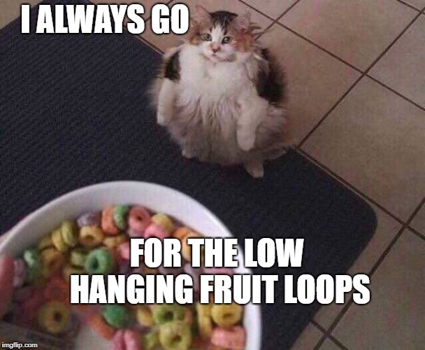 Fruit Loops | I ALWAYS GO FOR THE LOW HANGING FRUIT LOOPS | image tagged in fruit loops | made w/ Imgflip meme maker