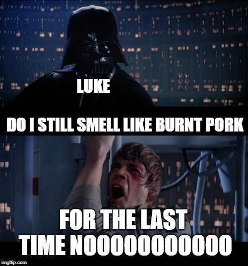 Star Wars No | LUKE                                              DO I STILL SMELL LIKE BURNT PORK; FOR THE LAST TIME NOOOOOOOOOOO | image tagged in memes,star wars no | made w/ Imgflip meme maker