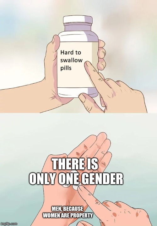 Hard To Swallow Pills Meme | THERE IS ONLY ONE GENDER; MEN, BECAUSE WOMEN ARE PROPERTY | image tagged in memes,hard to swallow pills | made w/ Imgflip meme maker
