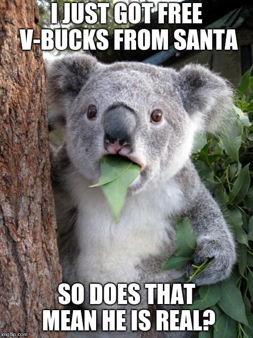 Surprised Koala | I JUST GOT FREE V-BUCKS FROM SANTA; SO DOES THAT MEAN HE IS REAL? | image tagged in memes,surprised koala | made w/ Imgflip meme maker