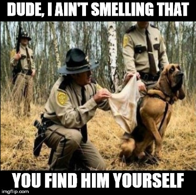 DUDE, I AIN'T SMELLING THAT; YOU FIND HIM YOURSELF | image tagged in bloodhound | made w/ Imgflip meme maker