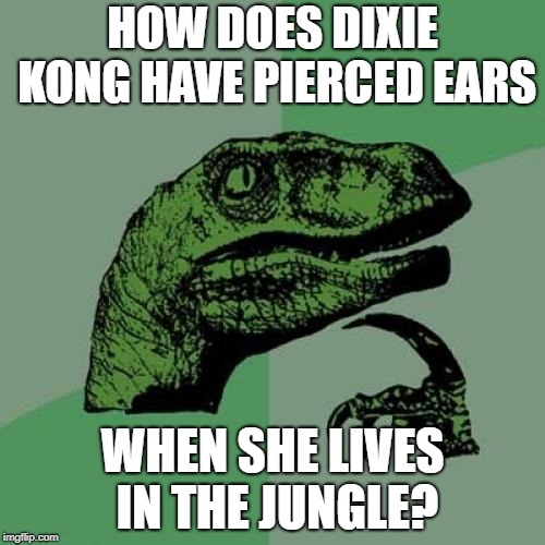 Philosoraptor Meme | HOW DOES DIXIE KONG HAVE PIERCED EARS; WHEN SHE LIVES IN THE JUNGLE? | image tagged in memes,philosoraptor,donkey kong,dixie kong,game logic,thisimagehasalotoftags | made w/ Imgflip meme maker