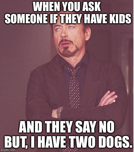 Face You Make Robert Downey Jr Meme | WHEN YOU ASK SOMEONE IF THEY HAVE KIDS; AND THEY SAY NO BUT, I HAVE TWO DOGS. | image tagged in memes,face you make robert downey jr | made w/ Imgflip meme maker