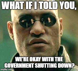 Go ahead, take a few days off | WHAT IF I TOLD YOU, WE'RE OKAY WITH THE GOVERNMENT SHUTTING DOWN? | image tagged in government shutdown,what if i told you,government corruption | made w/ Imgflip meme maker