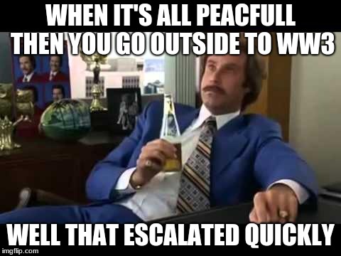 Well That Escalated Quickly | WHEN IT'S ALL PEACFULL THEN YOU GO OUTSIDE TO WW3; WELL THAT ESCALATED QUICKLY | image tagged in memes,well that escalated quickly | made w/ Imgflip meme maker
