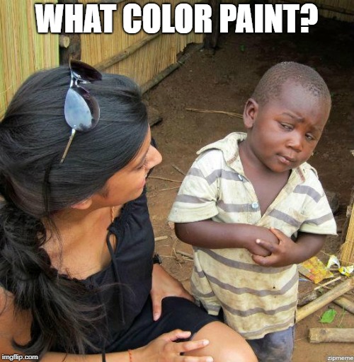 black kid | WHAT COLOR PAINT? | image tagged in black kid | made w/ Imgflip meme maker