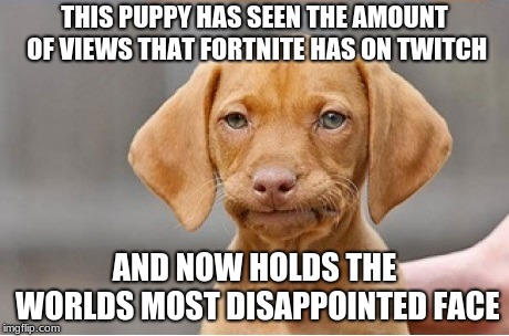 Well Shit | THIS PUPPY HAS SEEN THE AMOUNT OF VIEWS THAT FORTNITE HAS ON TWITCH; AND NOW HOLDS THE WORLDS MOST DISAPPOINTED FACE | image tagged in well shit | made w/ Imgflip meme maker