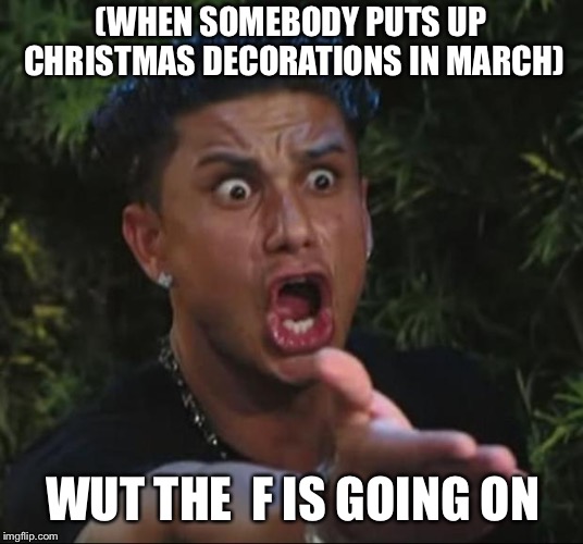 DJ Pauly D Meme | (WHEN SOMEBODY PUTS UP CHRISTMAS DECORATIONS IN MARCH); WUT THE  F IS GOING ON | image tagged in memes,dj pauly d | made w/ Imgflip meme maker