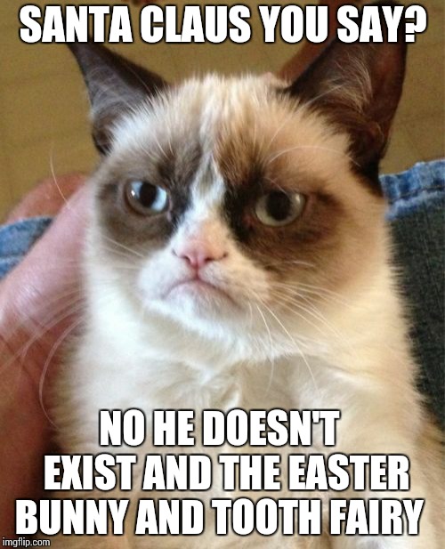Kids don't  believe grumpy cat!!! Santa Claus and easter bunny and tooth fairy are real!!!!! | SANTA CLAUS YOU SAY? NO HE DOESN'T  EXIST AND THE EASTER BUNNY AND TOOTH FAIRY | image tagged in memes,grumpy cat,christmas,cat,grumpy cat christmas,cats | made w/ Imgflip meme maker