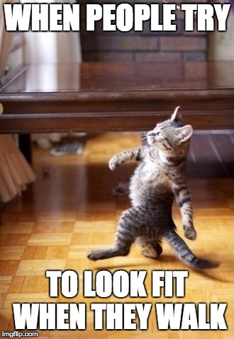 Cool Cat Stroll | WHEN PEOPLE TRY; TO LOOK FIT WHEN THEY WALK | image tagged in memes,cool cat stroll | made w/ Imgflip meme maker