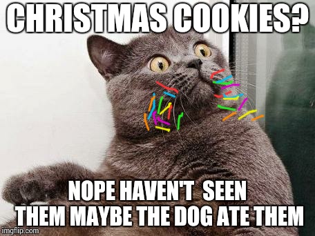 Eat the cookies and blame the dogs  | CHRISTMAS COOKIES? NOPE HAVEN'T  SEEN THEM MAYBE THE DOG ATE THEM | image tagged in surprised cat,cookies,blame it on the dog,cats,christmas | made w/ Imgflip meme maker