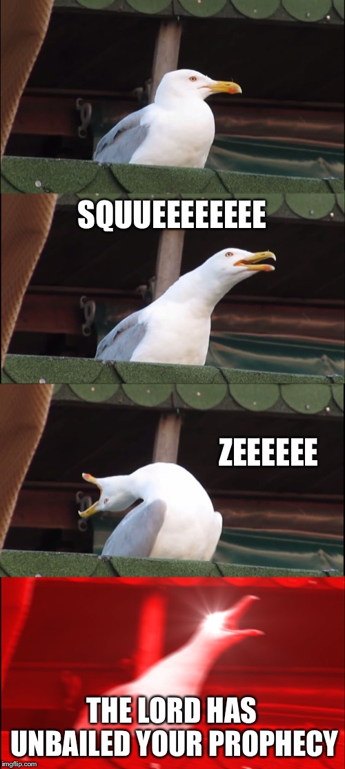 Inhaling Seagull | SQUUEEEEEEEE; ZEEEEEE; THE LORD HAS UNBAILED YOUR PROPHECY | image tagged in memes,inhaling seagull | made w/ Imgflip meme maker