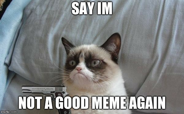 Grumpy cat gun | SAY IM; NOT A GOOD MEME AGAIN | image tagged in grumpy cat gun | made w/ Imgflip meme maker