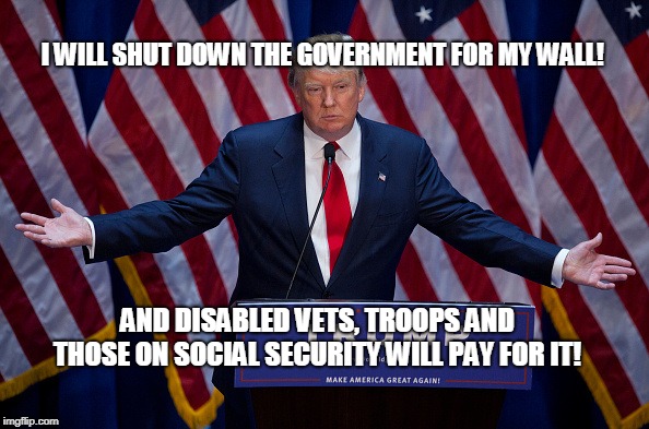 Donald Trump | I WILL SHUT DOWN THE GOVERNMENT FOR MY WALL! AND DISABLED VETS, TROOPS AND THOSE ON SOCIAL SECURITY WILL PAY FOR IT! | image tagged in donald trump | made w/ Imgflip meme maker