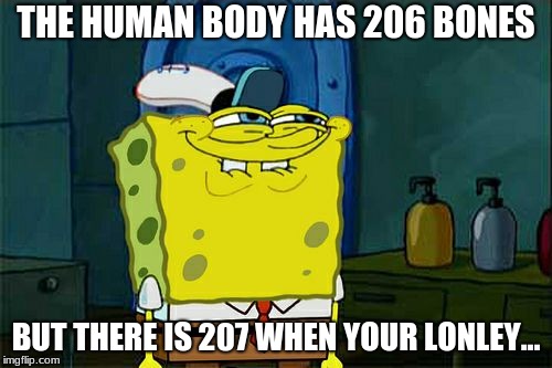 Don't You Squidward | THE HUMAN BODY HAS 206 BONES; BUT THERE IS 207 WHEN YOUR LONLEY... | image tagged in memes,dont you squidward | made w/ Imgflip meme maker