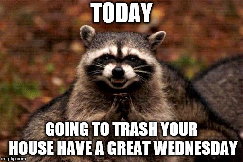 today | TODAY; GOING TO TRASH YOUR HOUSE HAVE A GREAT WEDNESDAY | image tagged in memes,evil plotting raccoon,wednesday,raccoon,memesmeme,funny memes | made w/ Imgflip meme maker