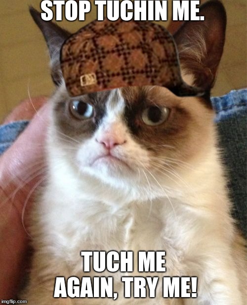 Grumpy Cat Meme | STOP TUCHIN ME. TUCH ME AGAIN, TRY ME! | image tagged in memes,grumpy cat,scumbag | made w/ Imgflip meme maker