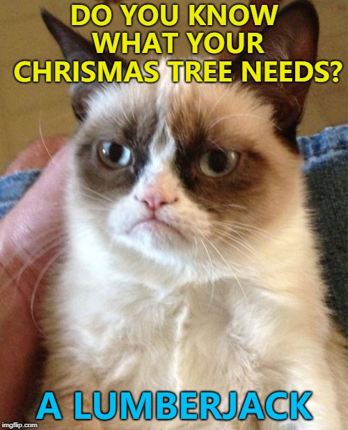 Or a mysterious fire... :) | DO YOU KNOW WHAT YOUR CHRISMAS TREE NEEDS? A LUMBERJACK | image tagged in memes,grumpy cat,christmas,christmas tree | made w/ Imgflip meme maker