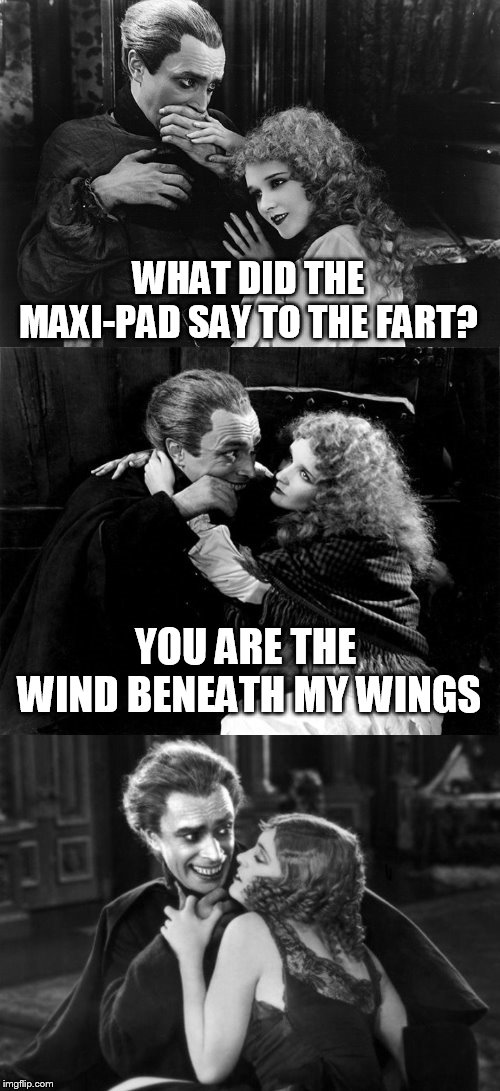 WHAT DID THE MAXI-PAD SAY TO THE FART? YOU ARE THE WIND BENEATH MY WINGS | made w/ Imgflip meme maker