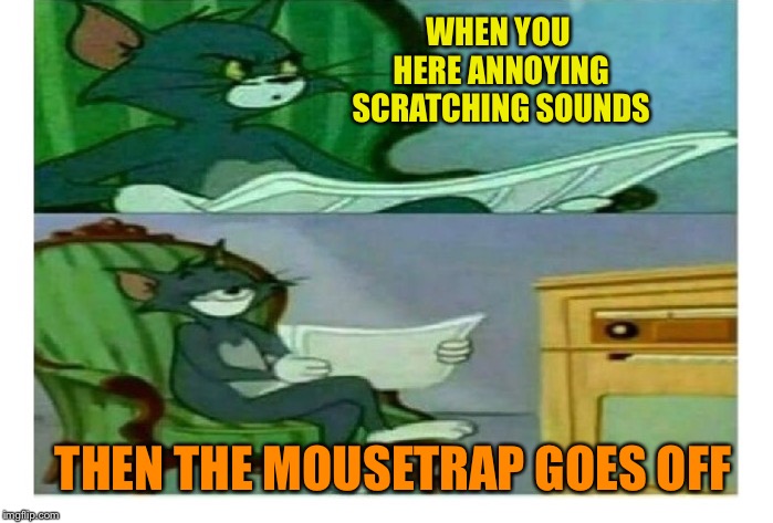WHEN YOU HERE ANNOYING SCRATCHING SOUNDS THEN THE MOUSETRAP GOES OFF | made w/ Imgflip meme maker