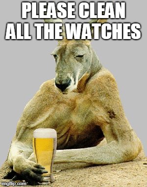 Cool Kangaroo | PLEASE CLEAN ALL THE WATCHES | image tagged in cool kangaroo | made w/ Imgflip meme maker
