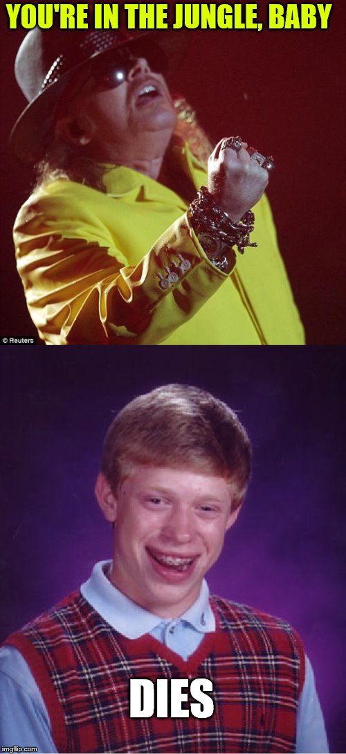 YOU'RE IN THE JUNGLE, BABY DIES | image tagged in memes,bad luck brian,axl rose fat | made w/ Imgflip meme maker