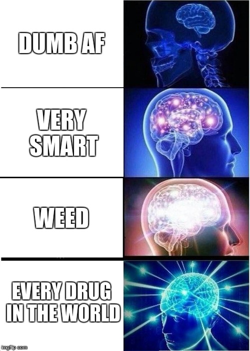 Expanding Brain | DUMB AF; VERY SMART; WEED; EVERY DRUG IN THE WORLD | image tagged in memes,expanding brain | made w/ Imgflip meme maker