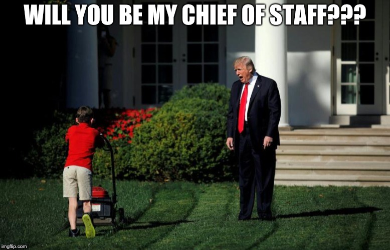 WILL YOU BE MY CHIEF OF STAFF??? | made w/ Imgflip meme maker