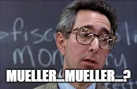 Ferris Bueller Ben Stein | MUELLER...MUELLER...? | image tagged in ferris bueller ben stein | made w/ Imgflip meme maker