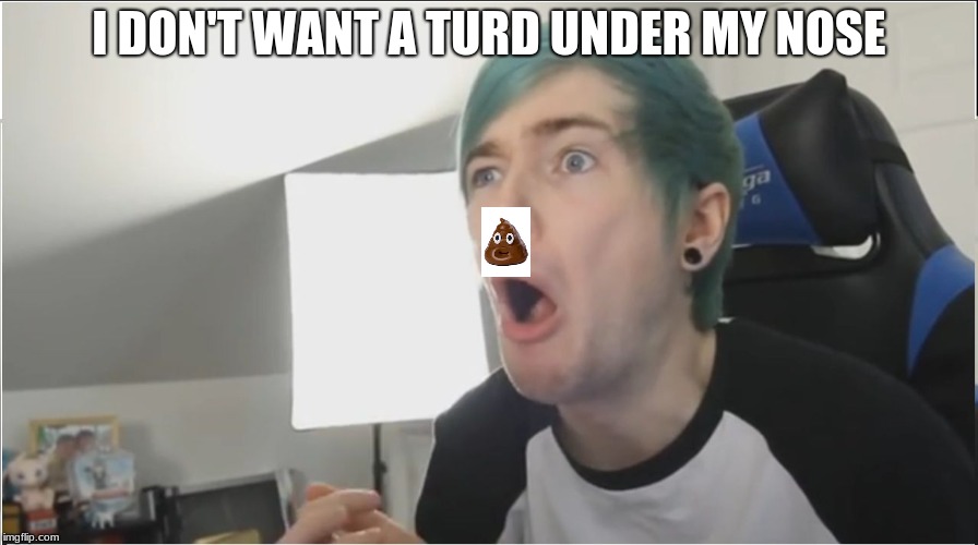 i no want poo | I DON'T WANT A TURD UNDER MY NOSE | image tagged in dantdm sour,dog poop | made w/ Imgflip meme maker