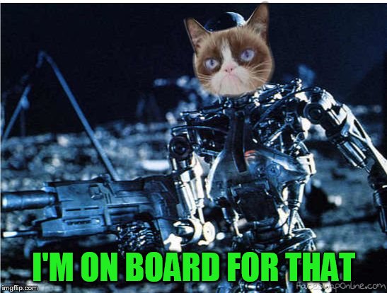 grump cat terminator | I'M ON BOARD FOR THAT | image tagged in grump cat terminator | made w/ Imgflip meme maker