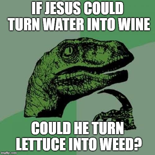 Philosoraptor Meme | IF JESUS COULD TURN WATER INTO WINE; COULD HE TURN LETTUCE INTO WEED? | image tagged in memes,philosoraptor | made w/ Imgflip meme maker