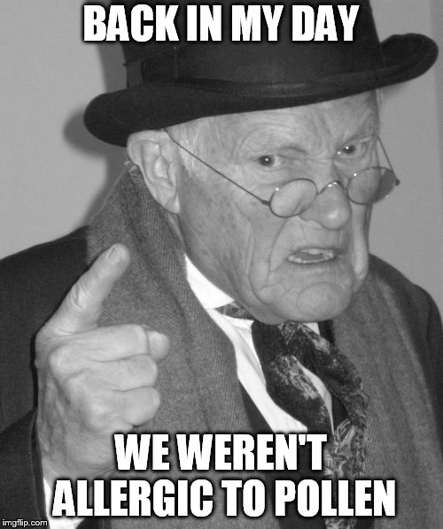 Back in my day | BACK IN MY DAY WE WEREN'T ALLERGIC TO POLLEN | image tagged in back in my day | made w/ Imgflip meme maker