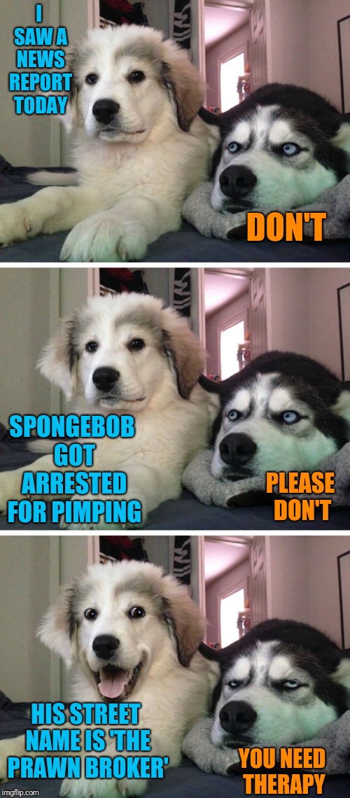 Bad pun dogs | I SAW A NEWS REPORT TODAY; DON'T; SPONGEBOB GOT ARRESTED FOR PIMPING; PLEASE DON'T; HIS STREET NAME IS 'THE PRAWN BROKER'; YOU NEED THERAPY | image tagged in bad pun dogs | made w/ Imgflip meme maker